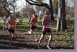 Begles 15.12.13 01 714 * 679 x 453 * (208KB)